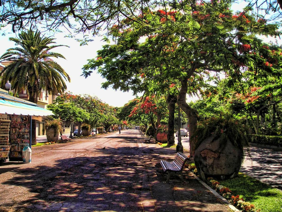 Flores & Campos Guest House Santa Cruz de Tenerife Bagian luar foto